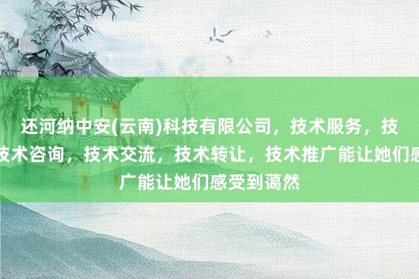 还河纳中安(云南)科技有限公司,技术服务,技术开发,技术咨询,技术交流,技术转让,技术推广能让她们感受到蔼然