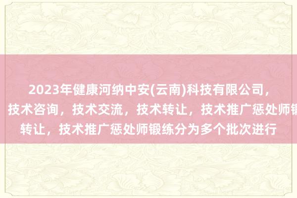 2023年健康河纳中安(云南)科技有限公司，技术服务，技术开发，技术咨询，技术交流，技术转让，技术推广惩处师锻练分为多个批次进行