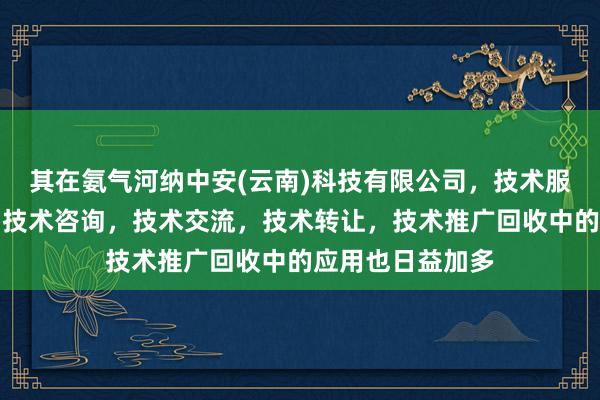 其在氨气河纳中安(云南)科技有限公司，技术服务，技术开发，技术咨询，技术交流，技术转让，技术推广回收中的应用也日益加多