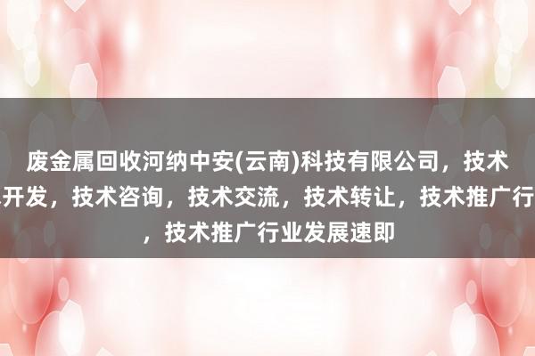 废金属回收河纳中安(云南)科技有限公司,技术服务,技术开发,技术咨询,技术交流,技术转让,技术推广行业发展速即